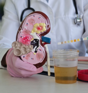 Liver function Test