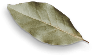 spice shop 37