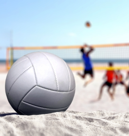 VOLLEYBALL